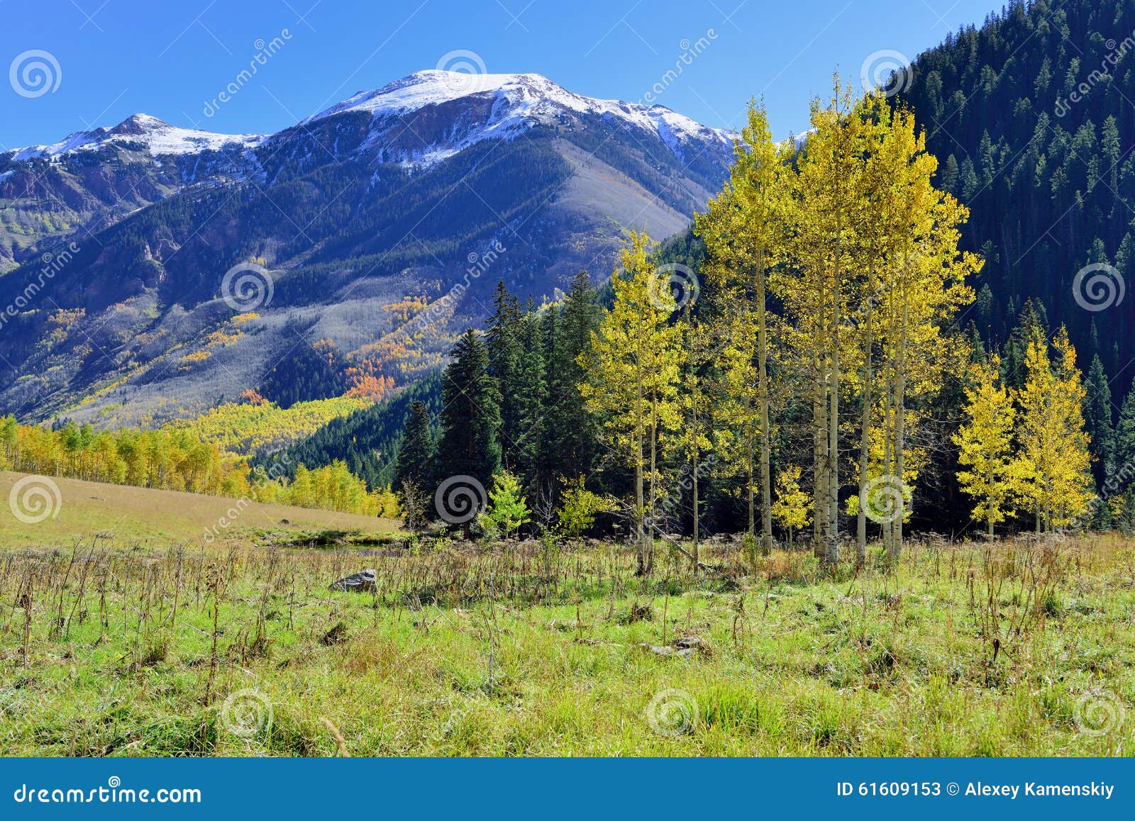 Snow Covered Mountains With Colorful Aspen During Foliage Season Stock