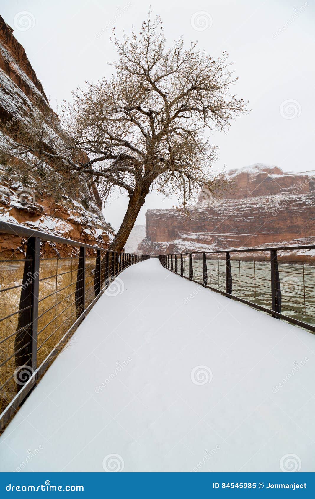 Snow Covered Path stock image. Image of tree, vista, sandstone - 84545985