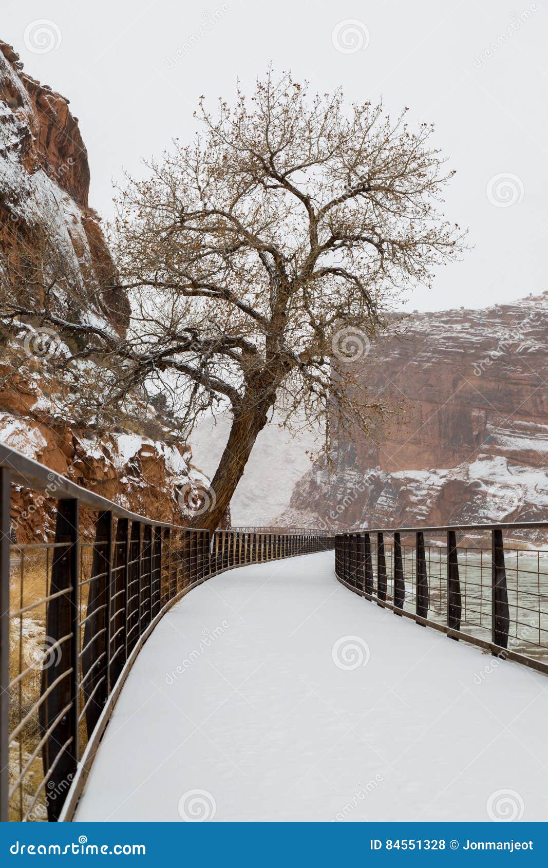Snow Covered Path stock photo. Image of point, stormy - 84551328