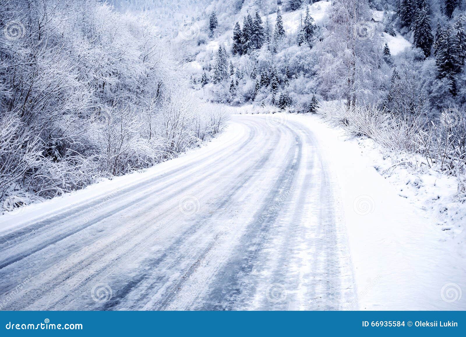 Snowcovered Road in Forest Stock Photo Image of winter, road 66935584