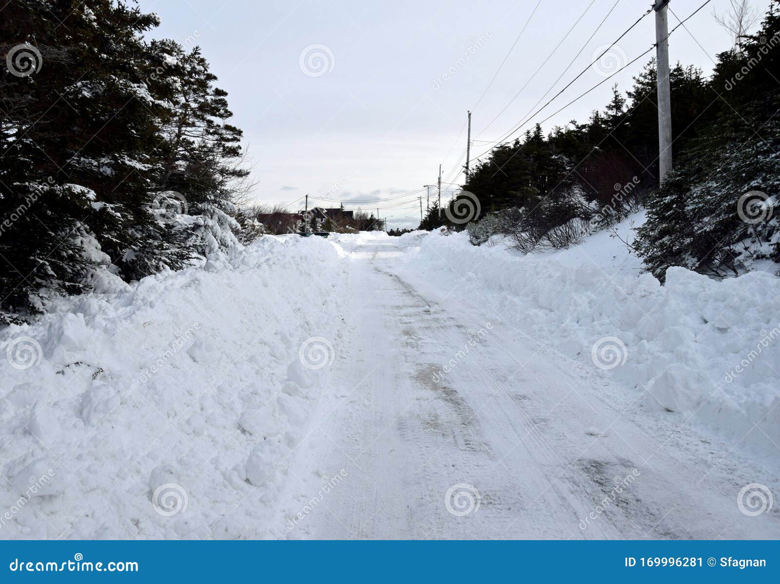 Snow Covered Road through a Forest Stock Image - Image of weather ...