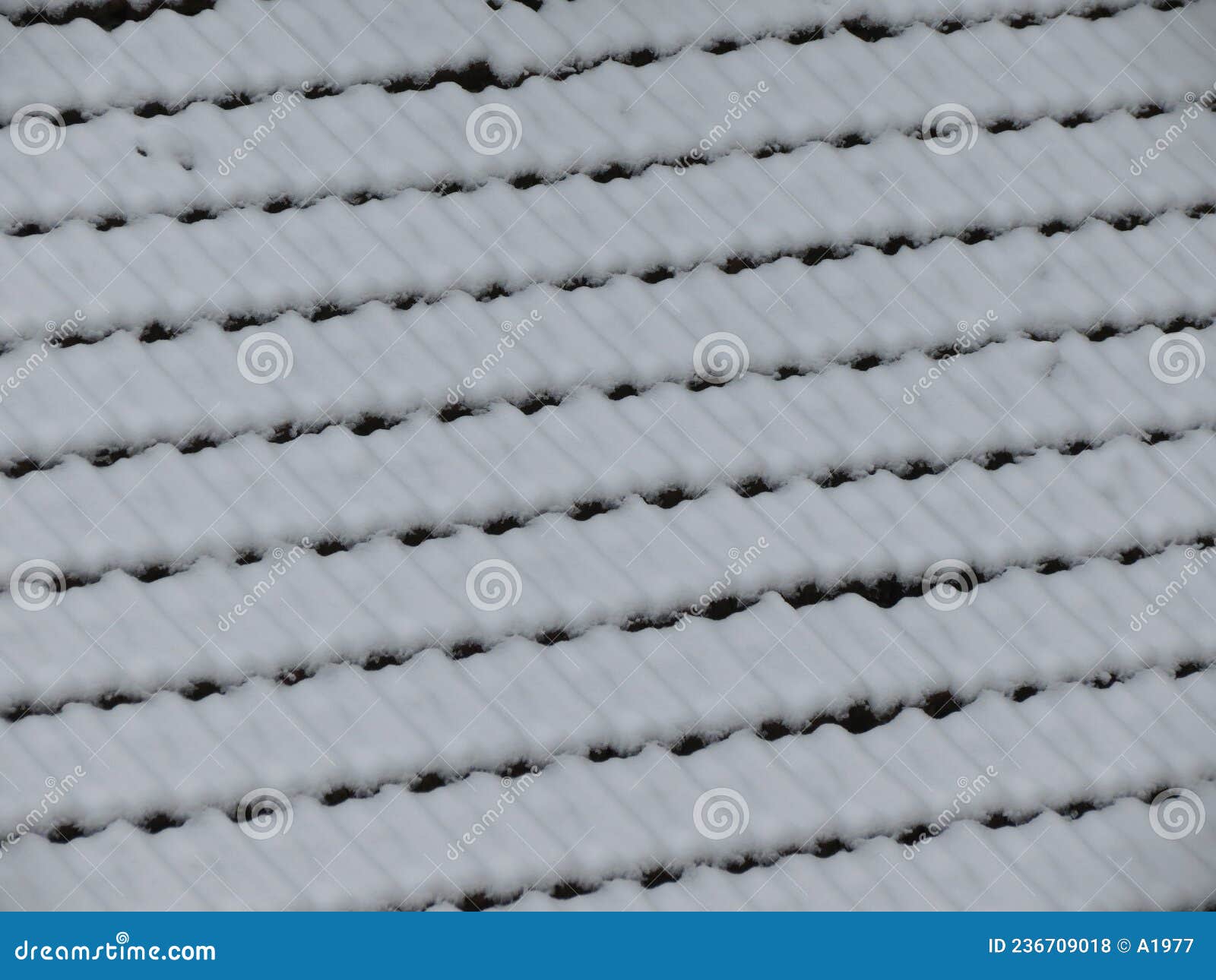 Snow Covered Roof Tiles Surface Background Stock Photo Image Of White