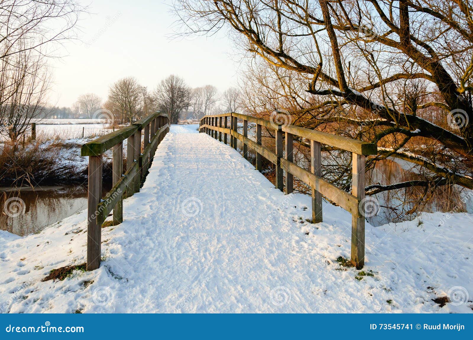 Snow Covered Wooden Footbridge In Winter Stock Image Image Of