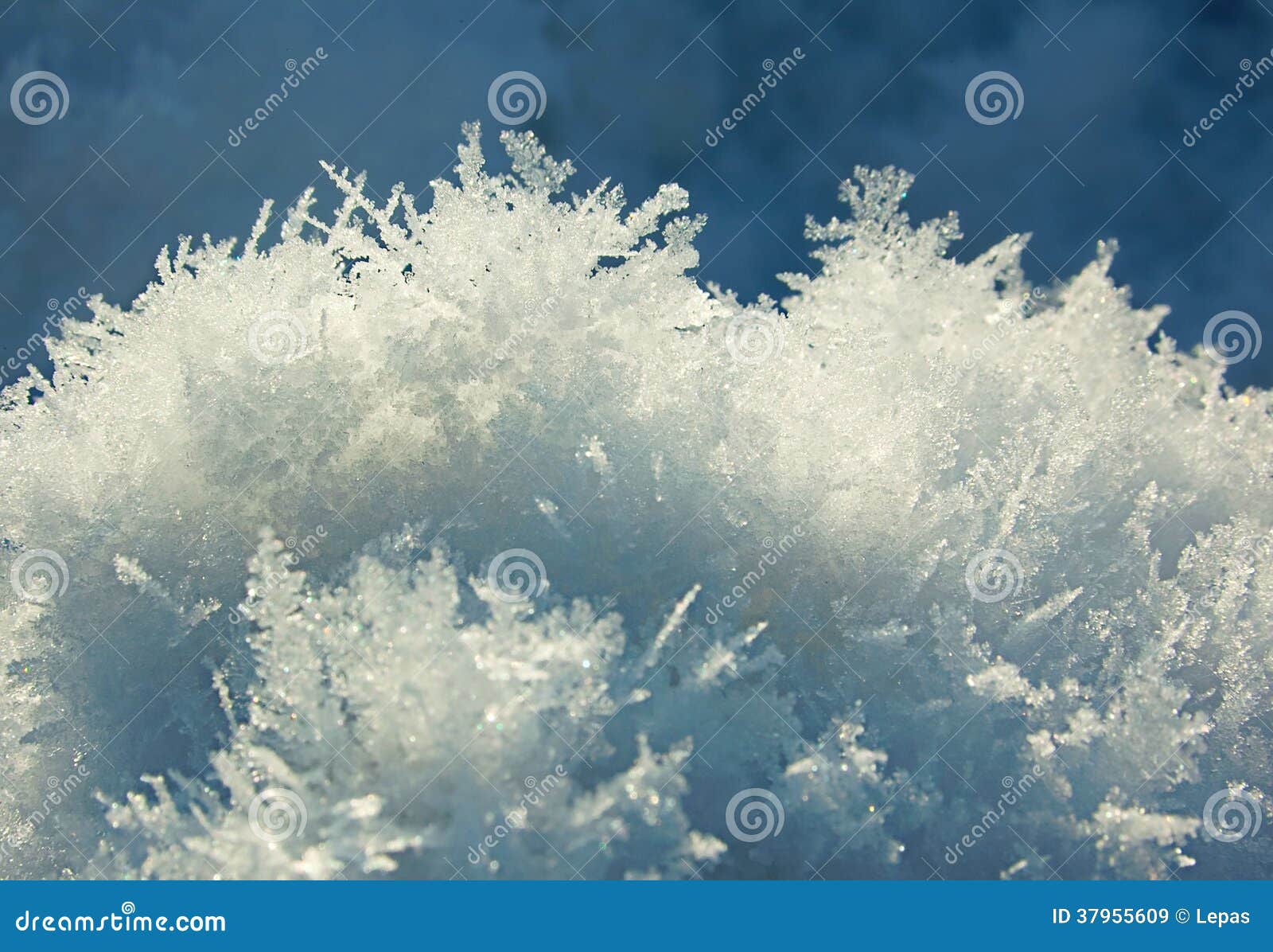 Snow crystal background stock image. Image of background 37955609