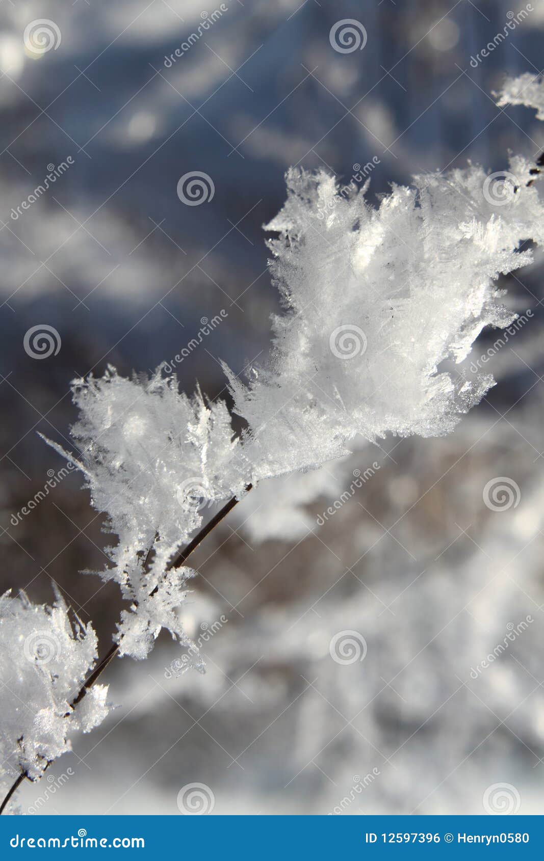 Snow Crystals Royalty Free Stock Image - Image: 12597396