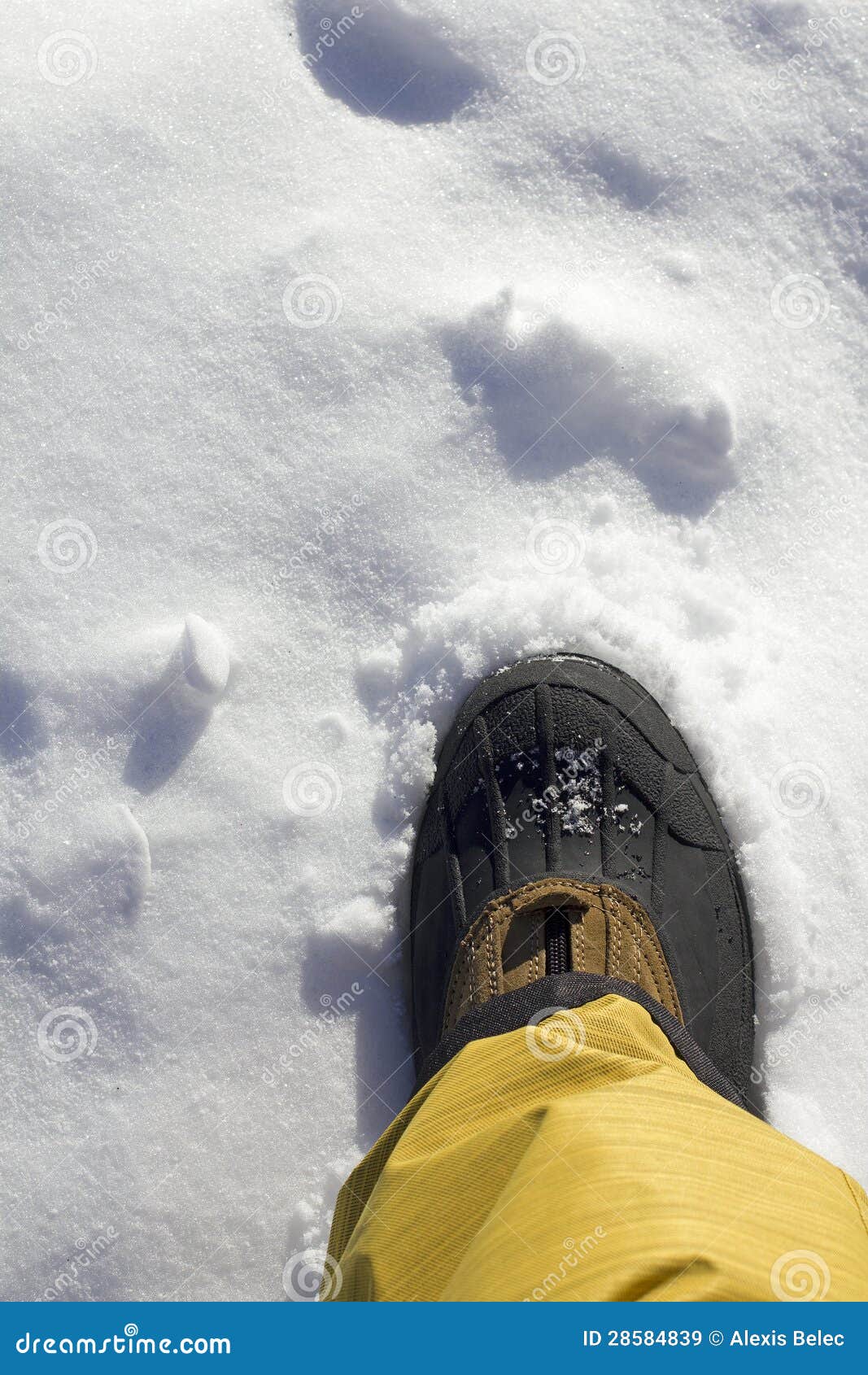 Snow foot stock image. Image of weather, black, closeup - 28584839