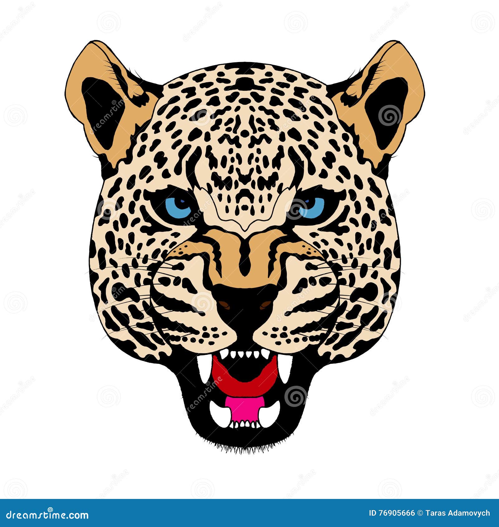 Snow Leopard Head Face Realistic Color Stock Vector - Illustration of ...