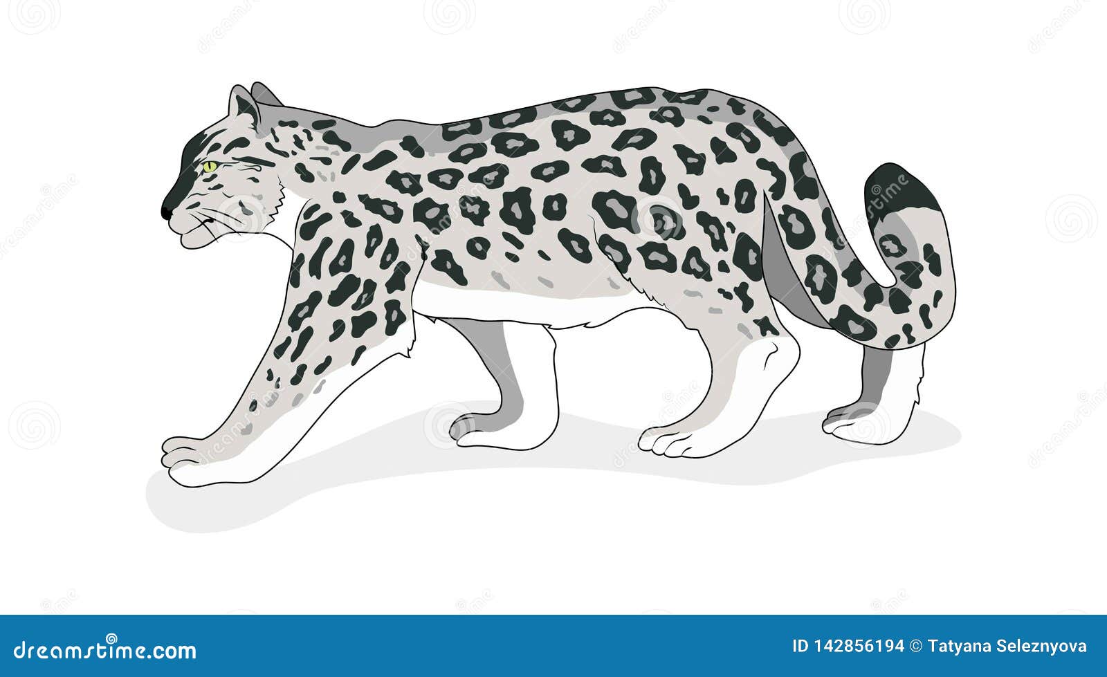 Snow Leopard. Isolated. Flat Style. Vector. White Background. Stock