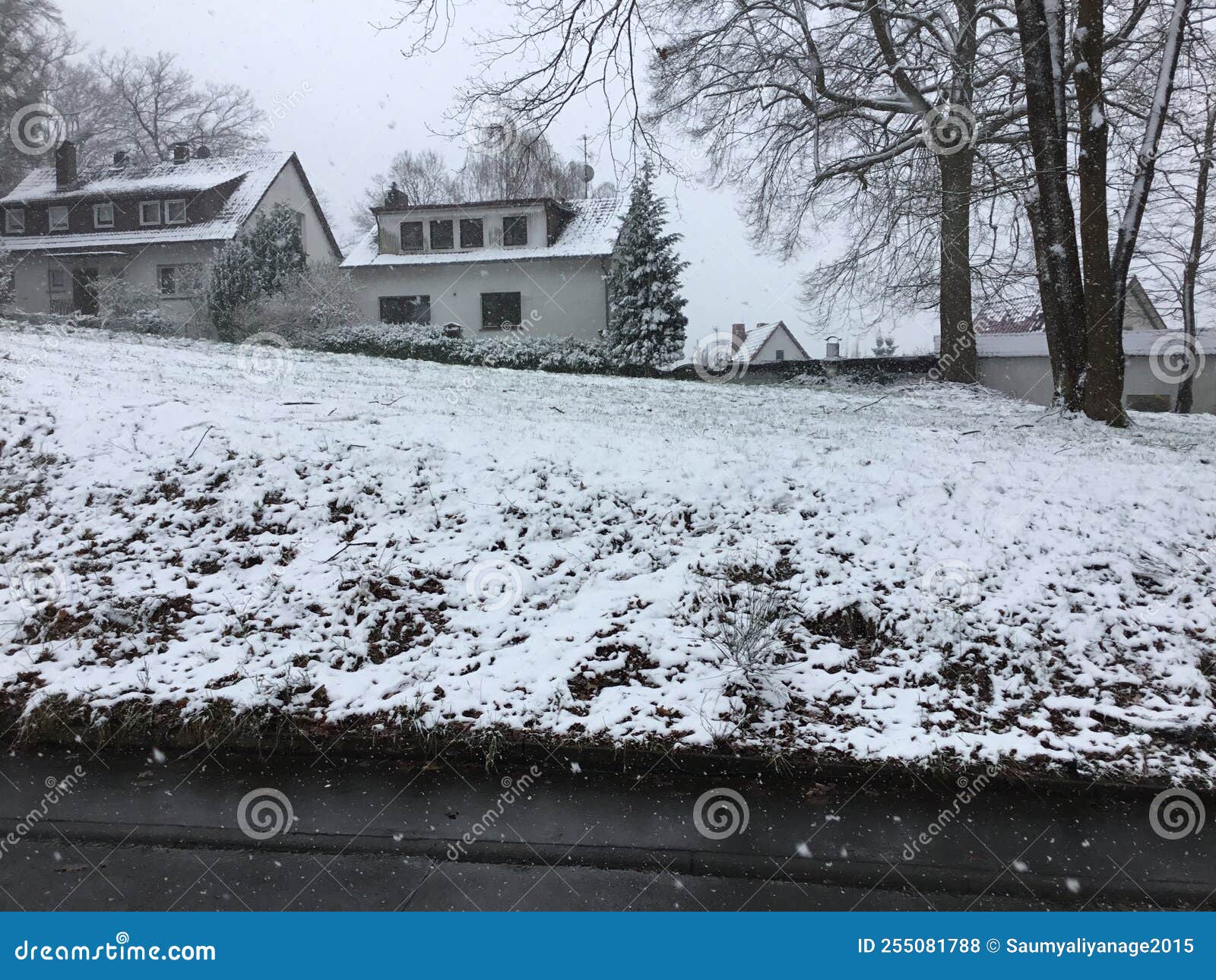 Snow, Marburg Germany 2022 stock photo. Image of winter 255081788
