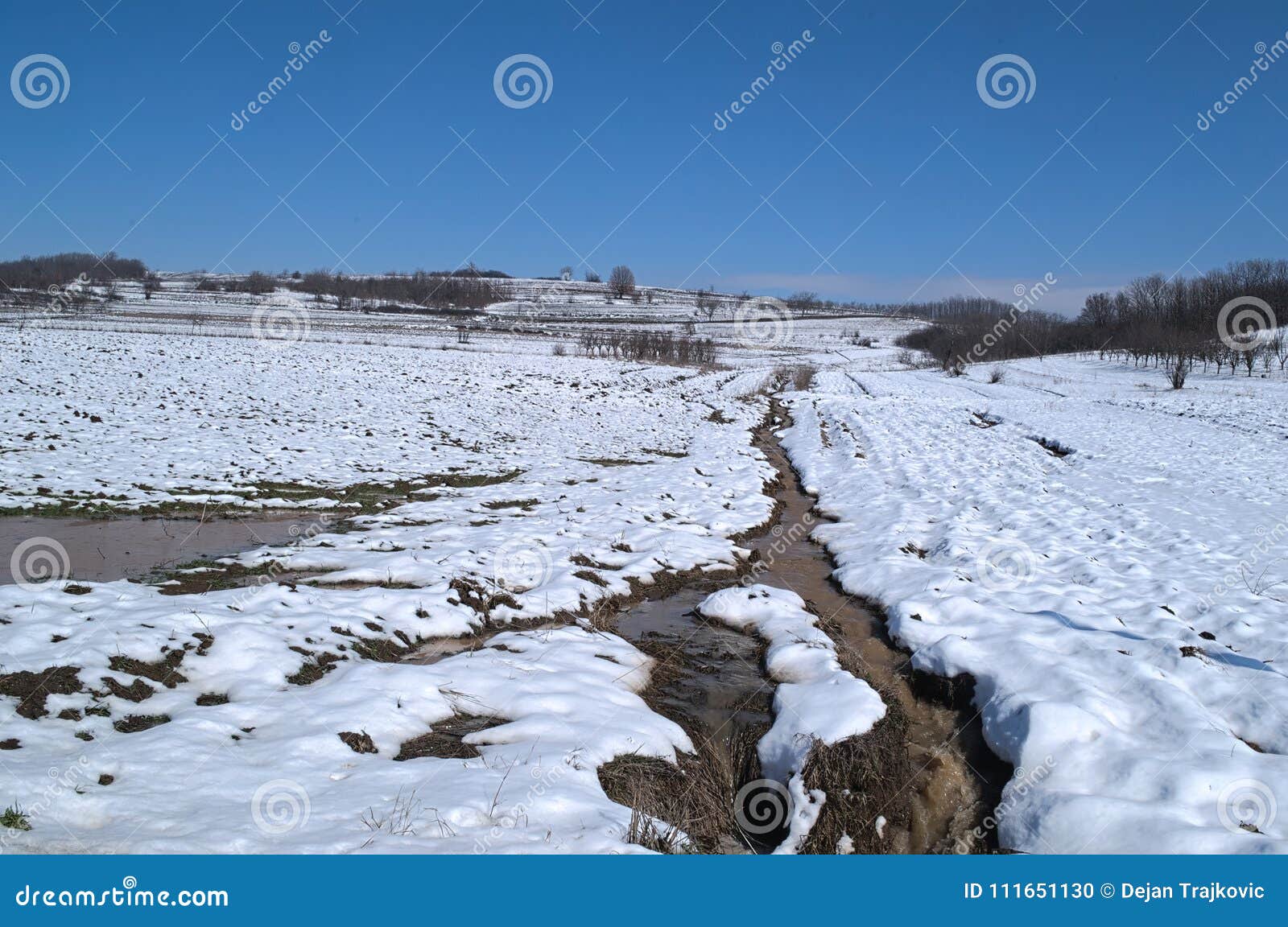 Snow Melts at the End of Winter Stock Photo Image of outdoor, muddy