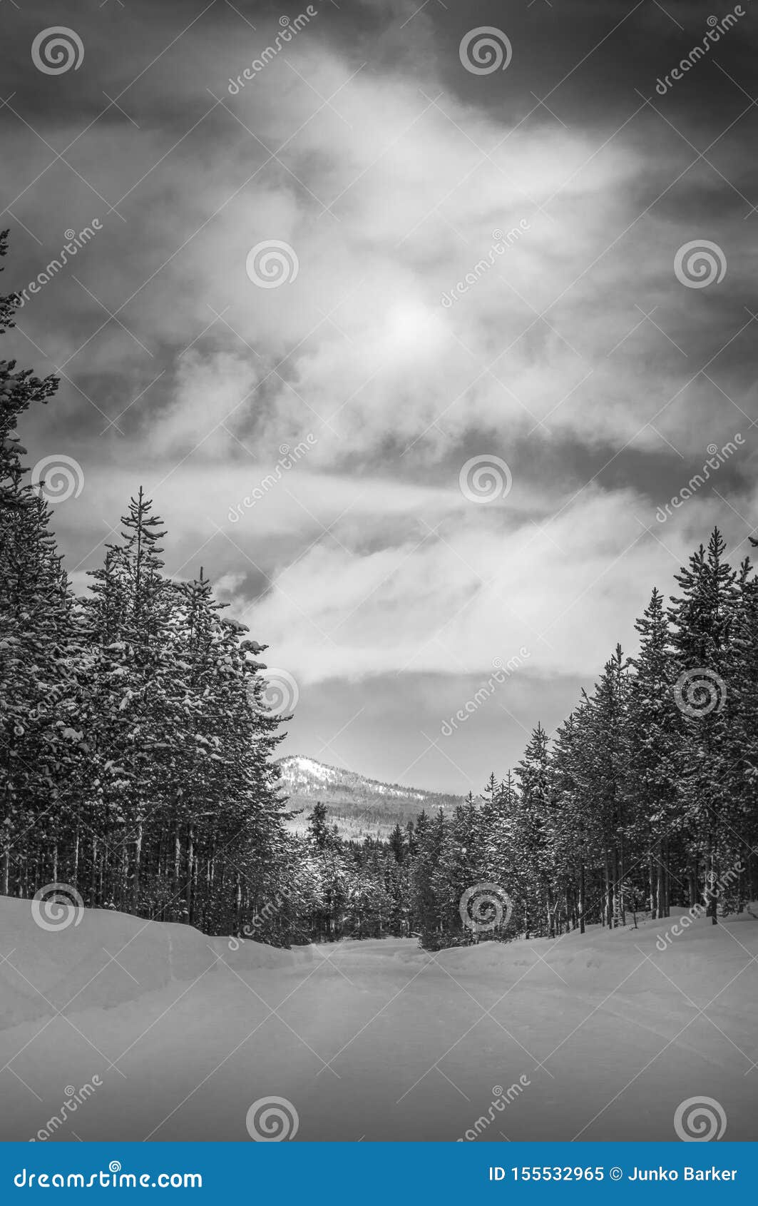 Snow Packed Road at Island Park Idaho Stock Image Image of landscape