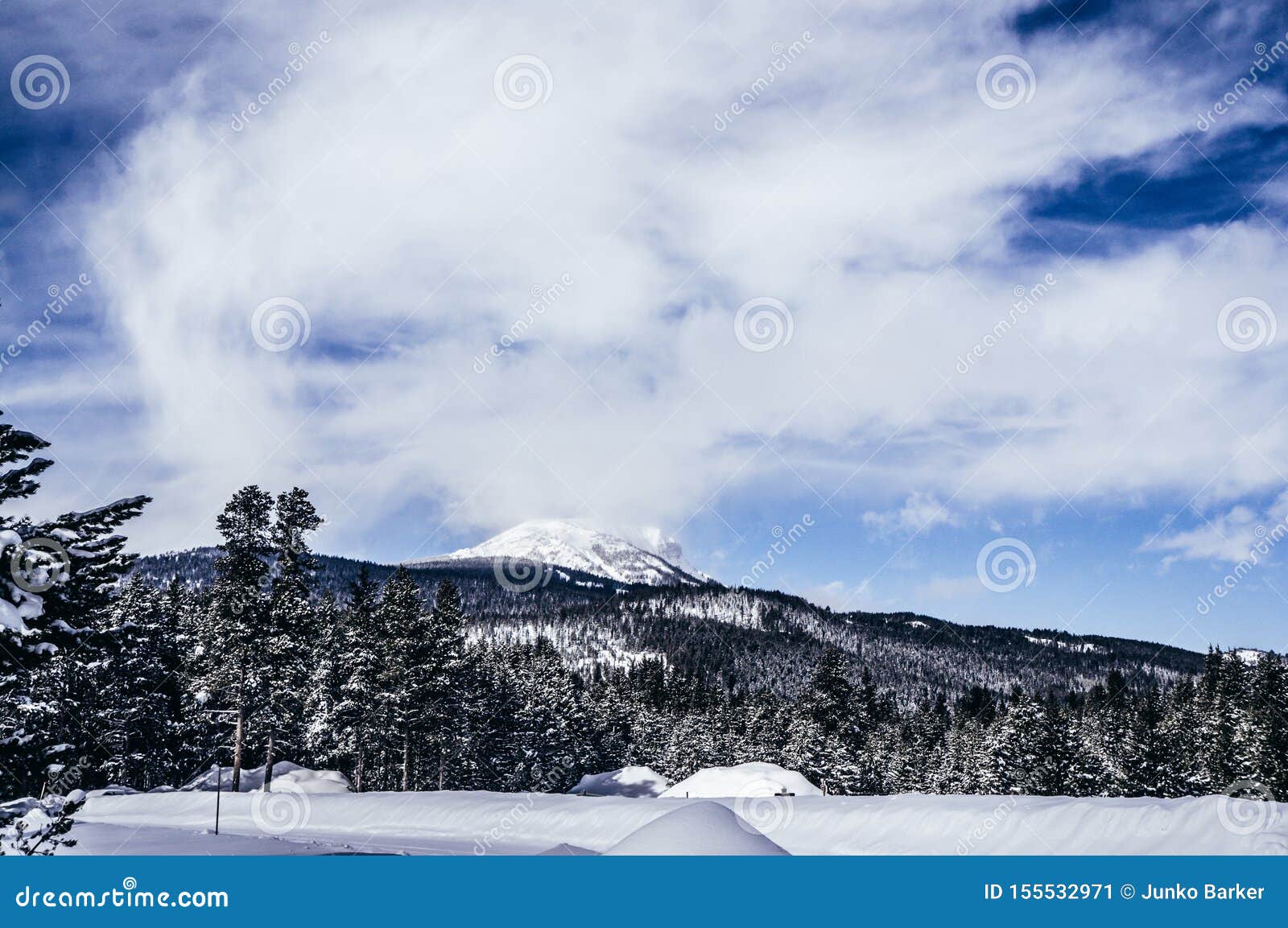 snow covered mountains and forest at island park idaho
