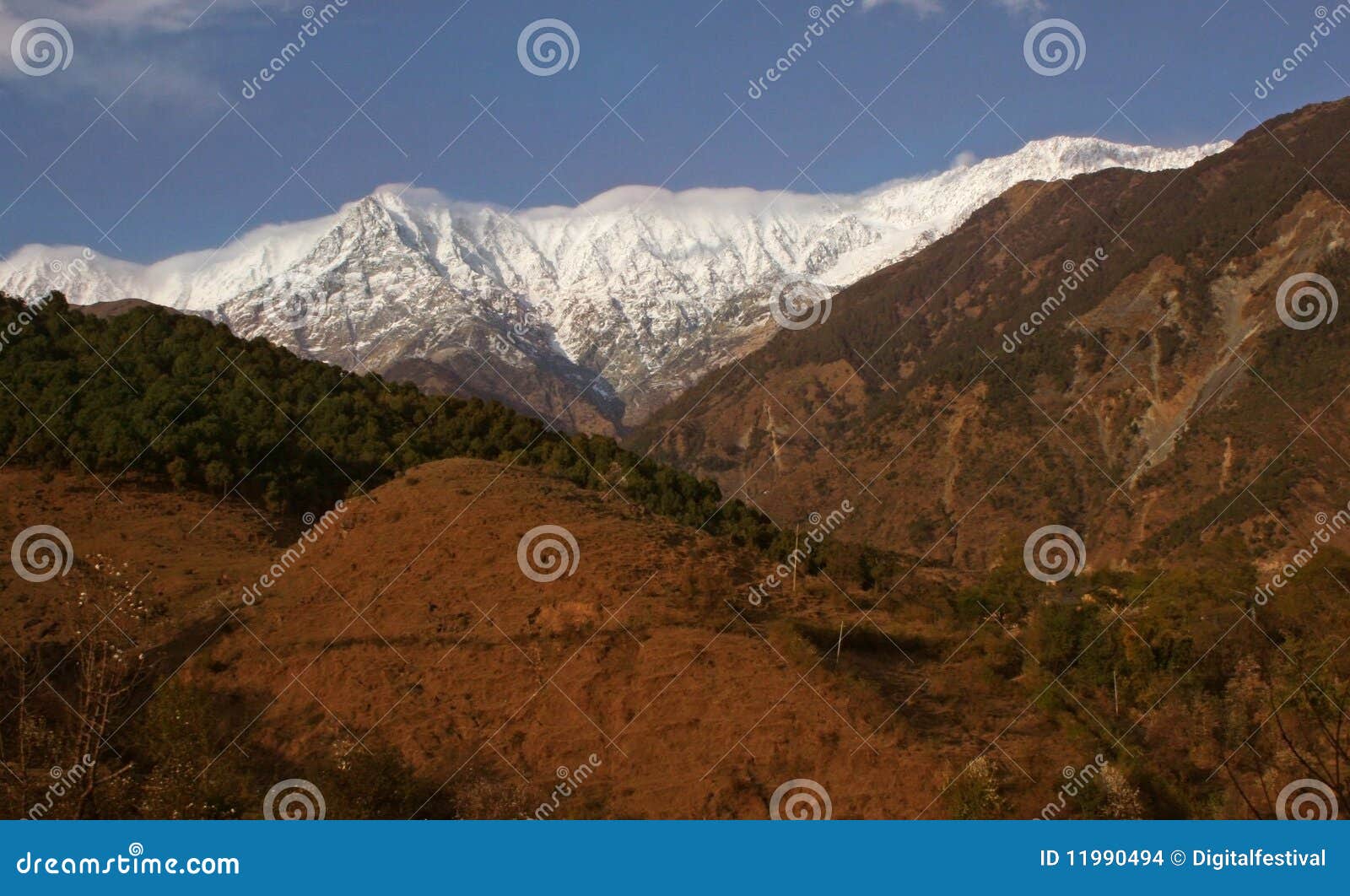 snow peaked himalayas and deforestation india
