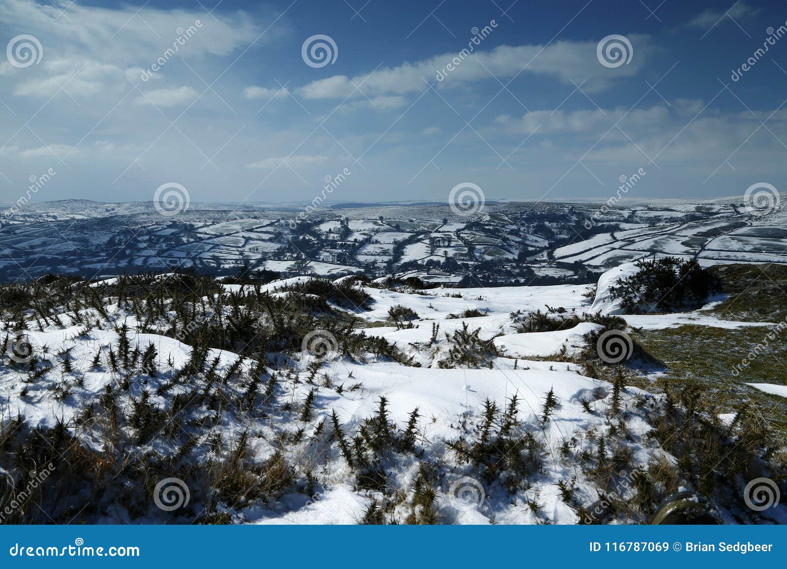 snow scenery in dartmoor national park