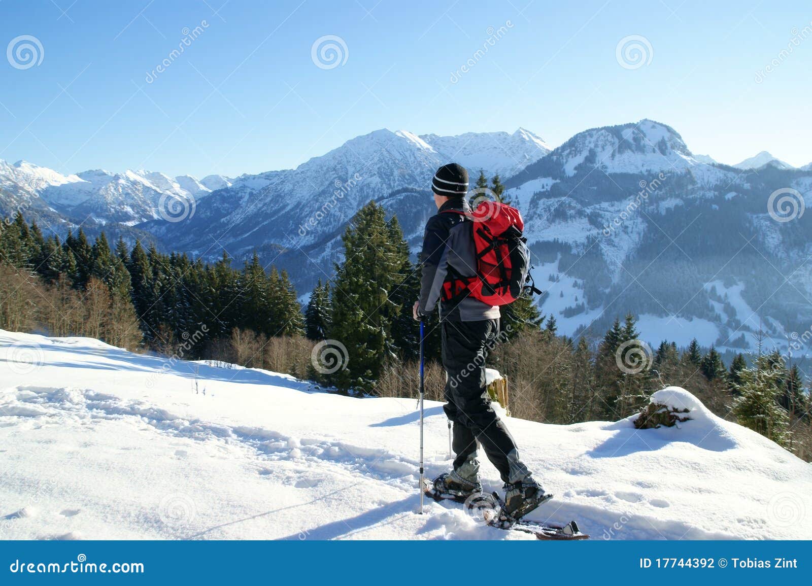 Snow shoe hiking stock photo. Image of light, outdoor 17744392