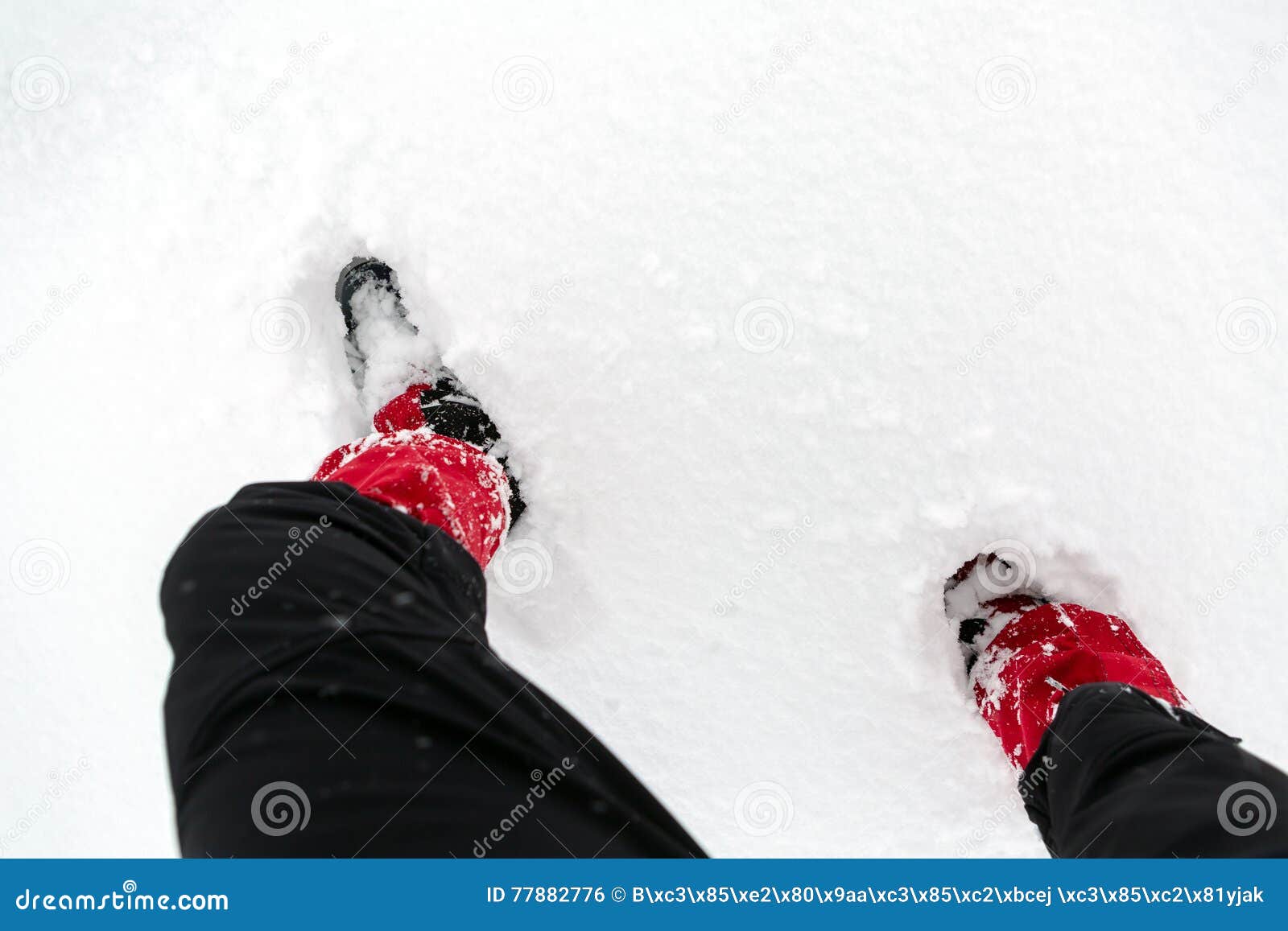 Snow Shoes on a White Snow during Hiking in Winter Stock Photo - Image ...