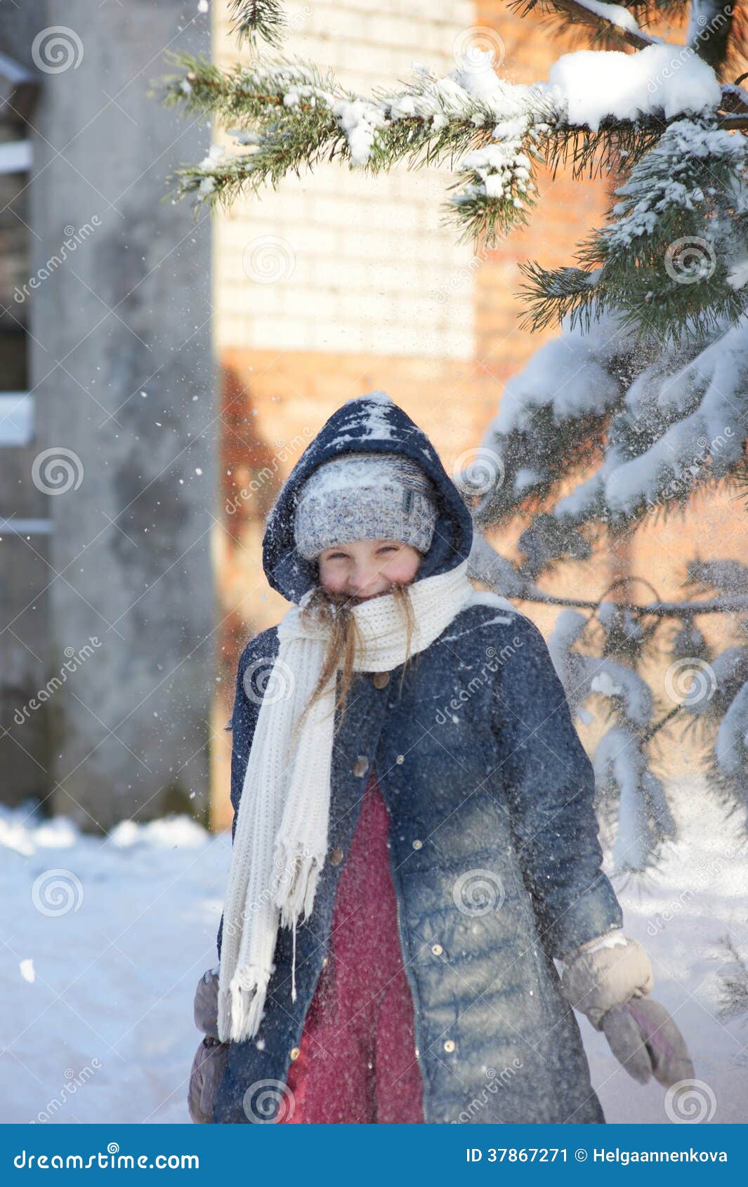 Snow shower stock image. Image of snowflakes, snowstorm 37867271