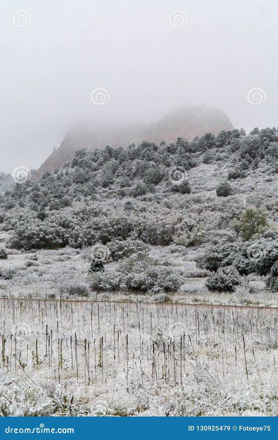 Blizzard At Garden Of The Gods Colorado Springs Rocky Mountains