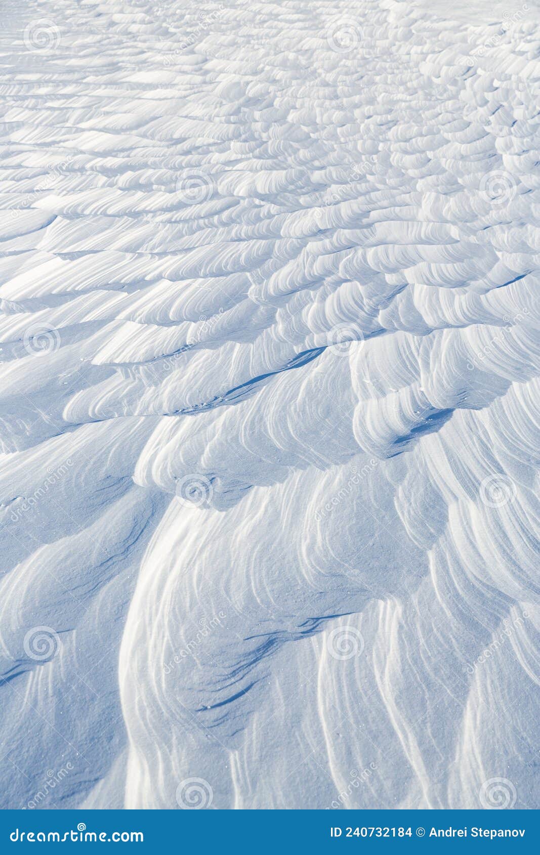 Snow Texture. Wind Sculpted Patterns on Snow Surface Stock Photo ...