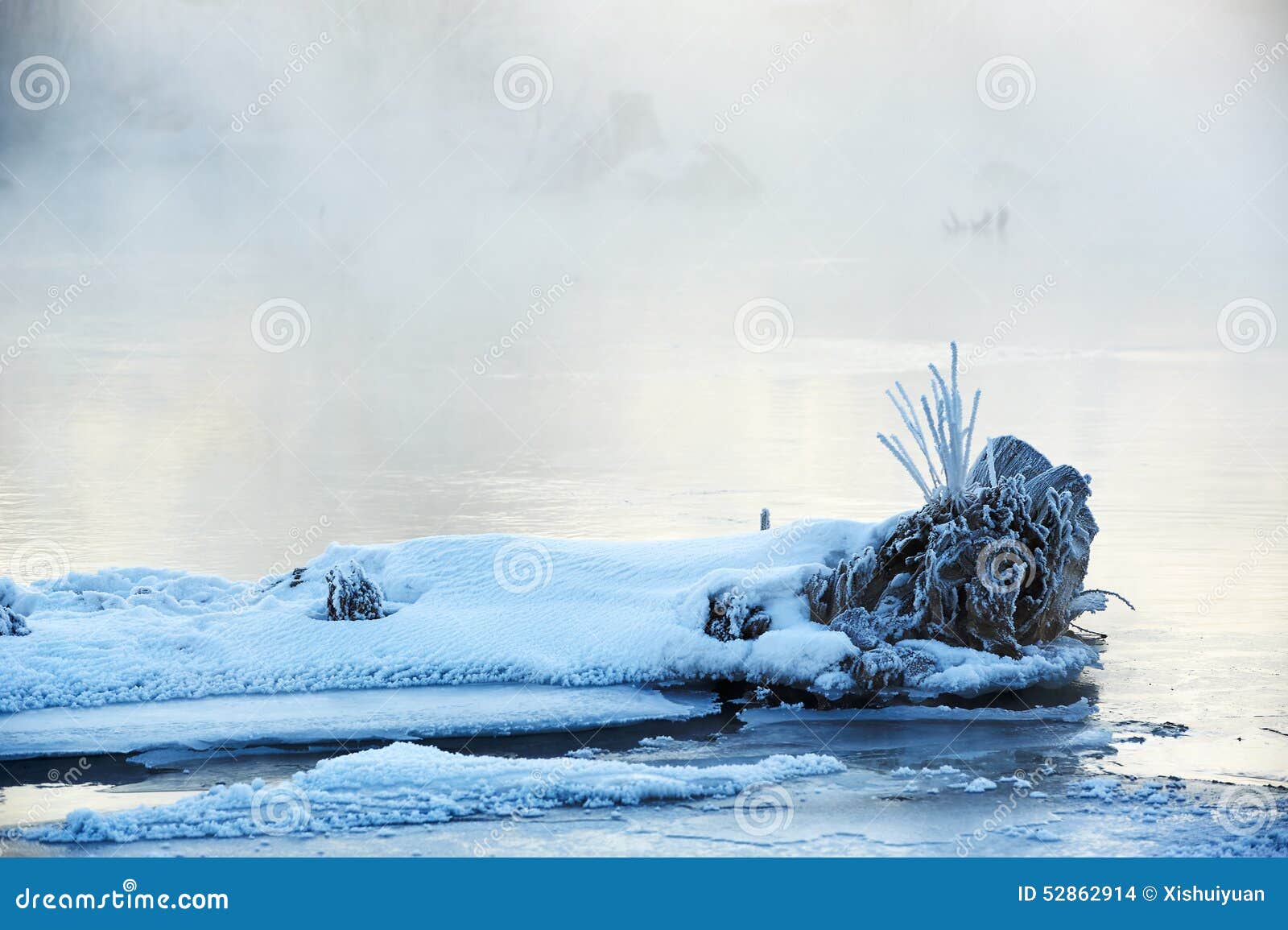 the snow and tree roots in riverside sunrise