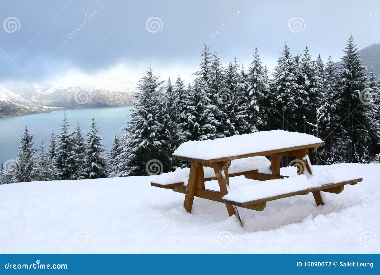 Snow View Of Queenstown, New Zealand Stock Photography 