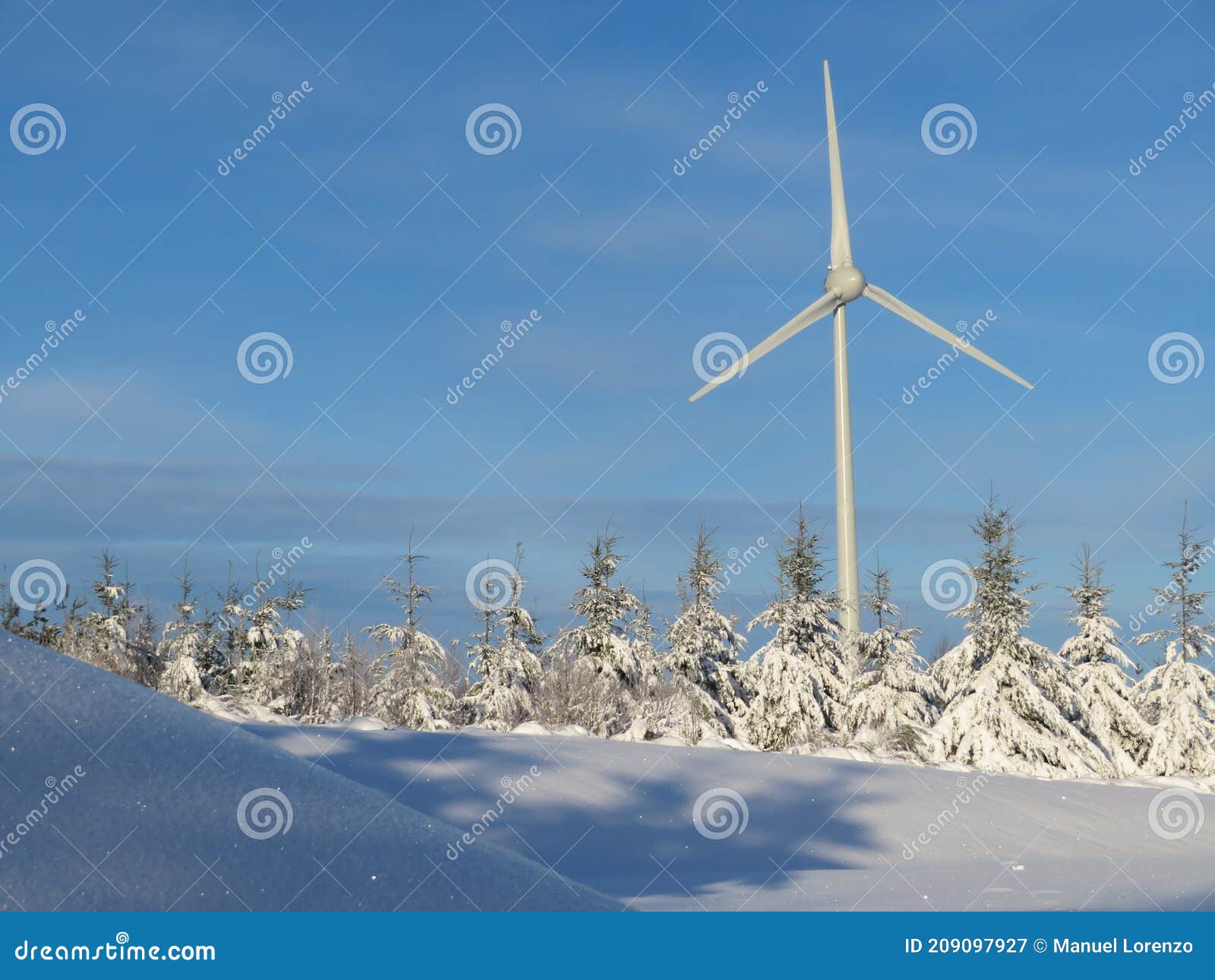 snow white cold winter beautiful ice cream trees landscape