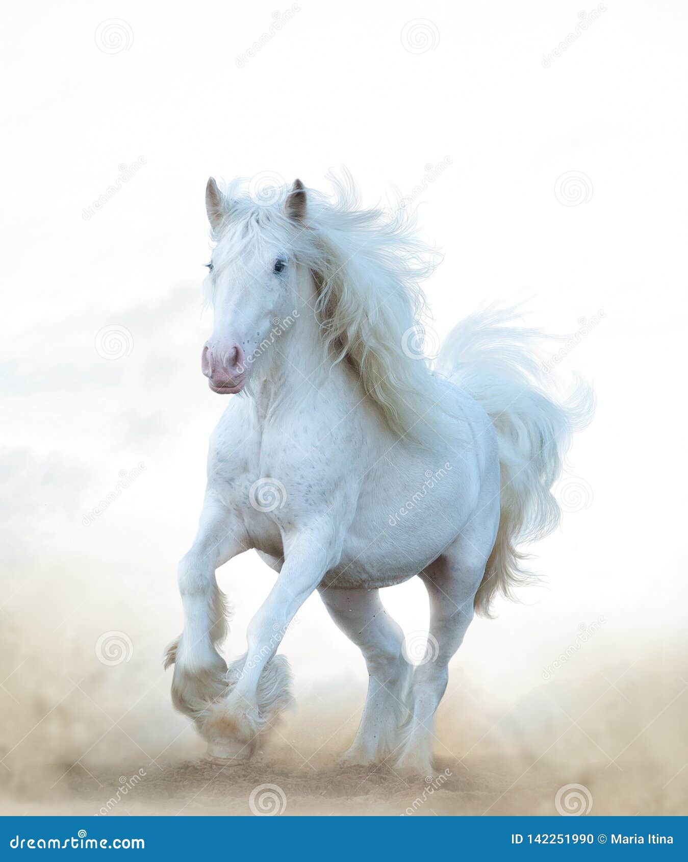 'Running Horse' White Plastic Ruler RL004399 