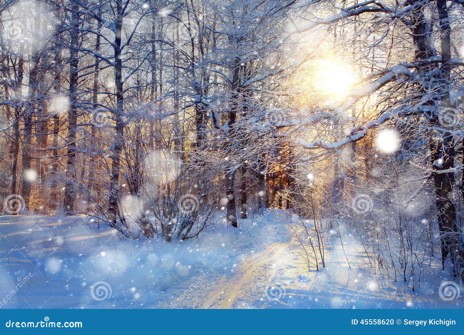 겨울 눈 아름다운 풍경 포스터 배경 그림, 겨울 눈 배경, 아름다운, 풍경 무료 다운로드를위한 배경 이미지