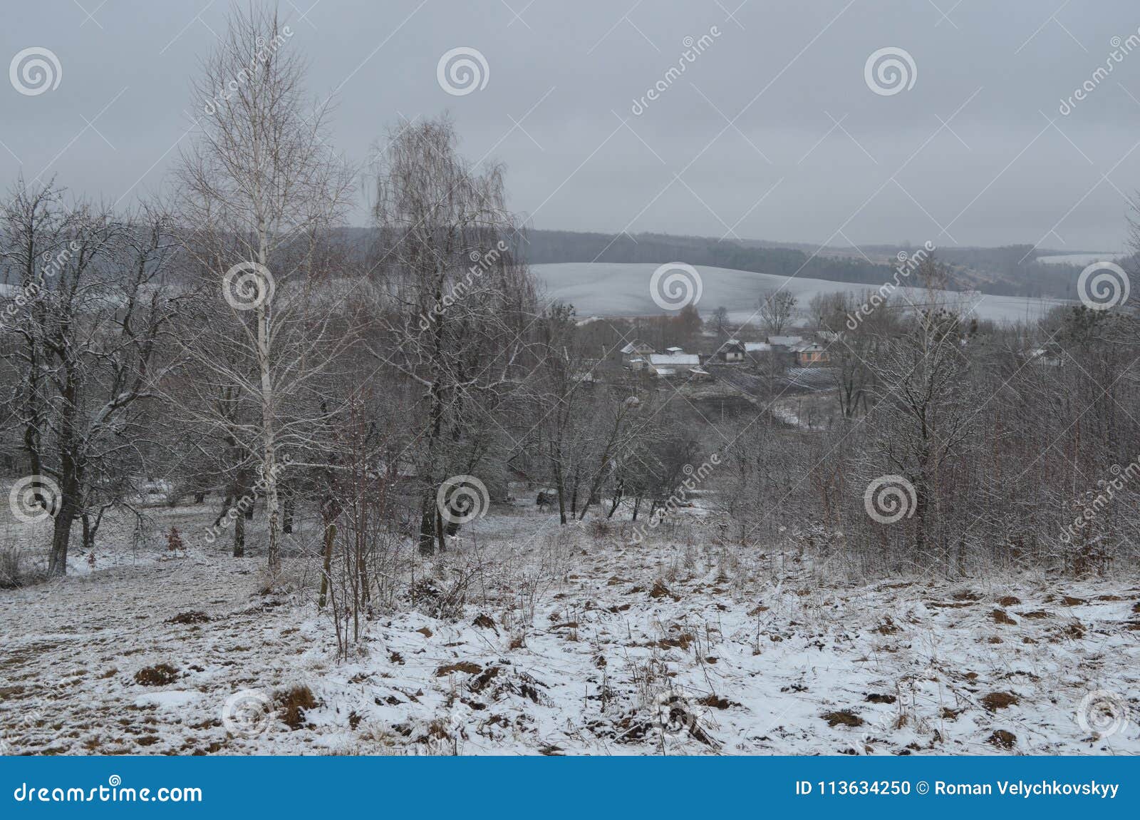 the first snow fell on the meadow of the tree and the house