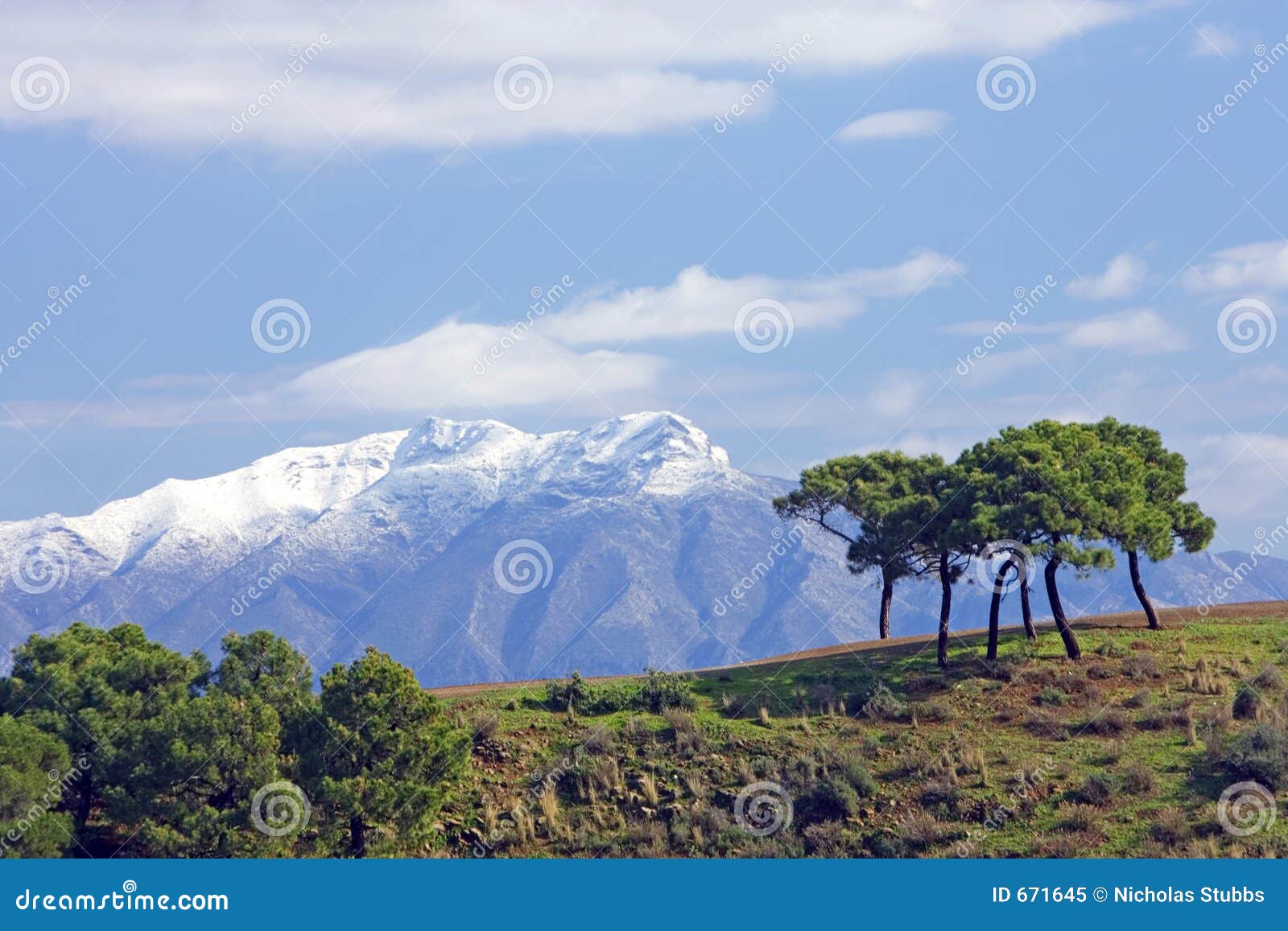 snowcapped mountains and trees in spain