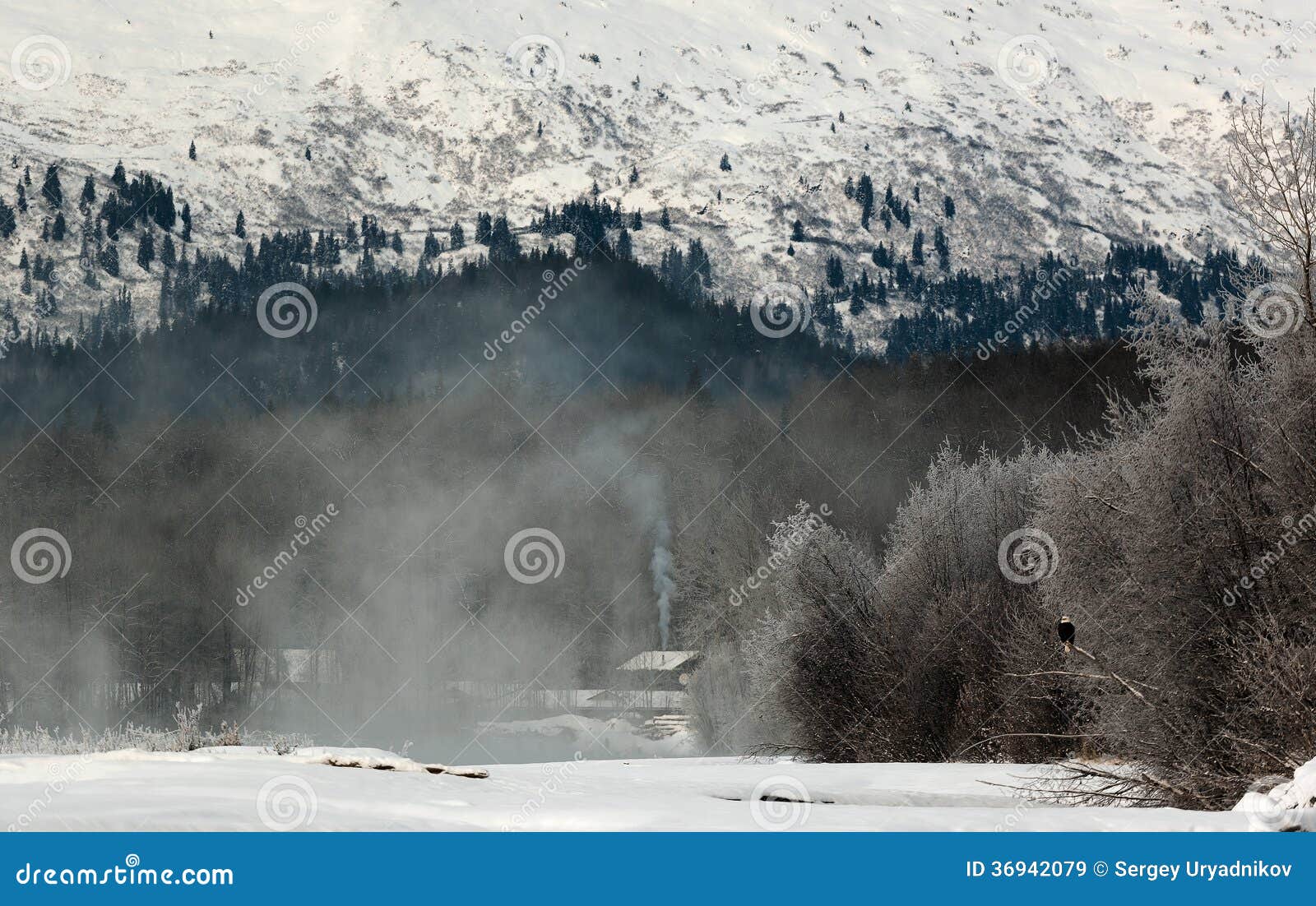 snowcovered mountains in alaska.