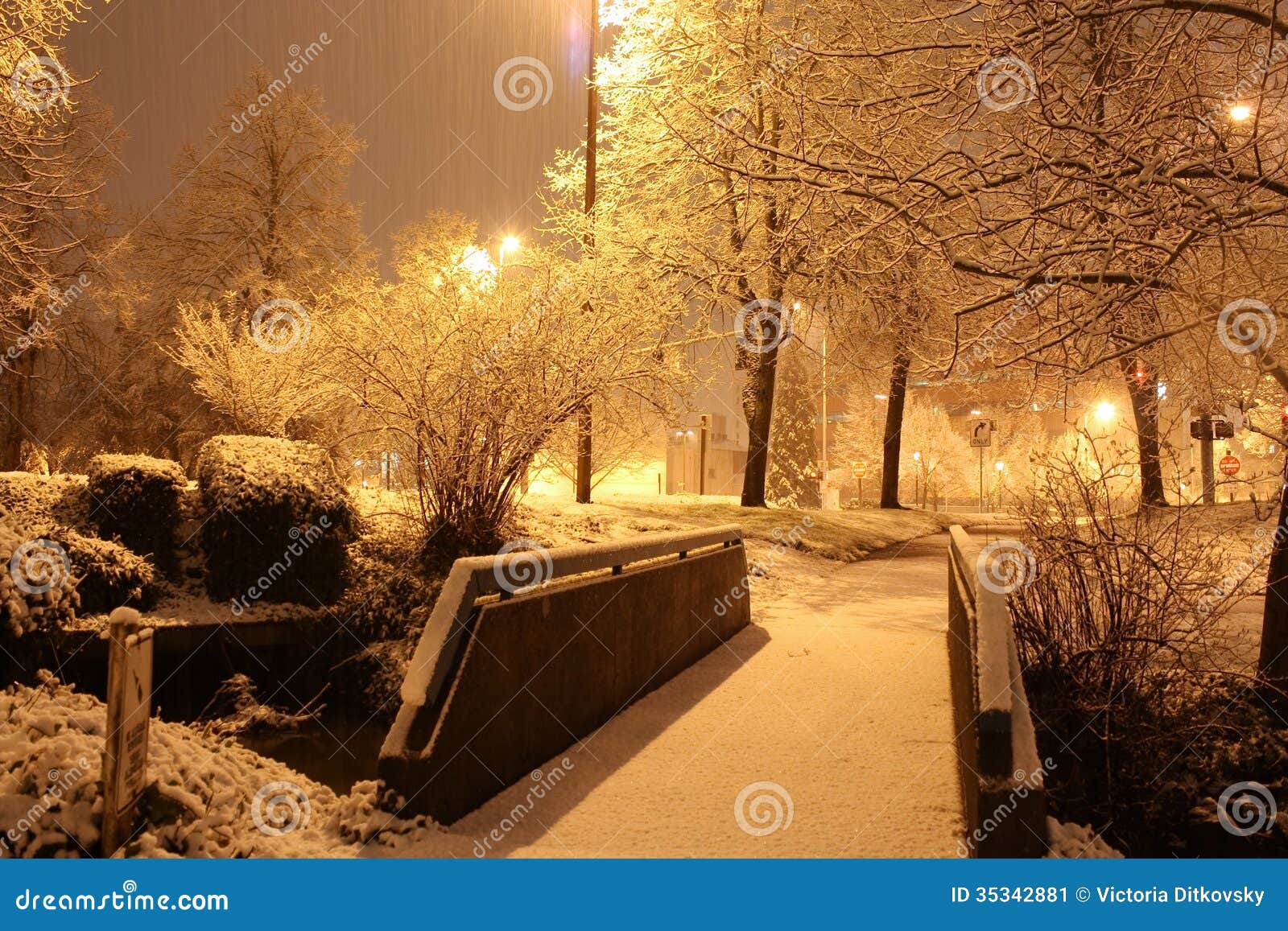 Snowfall in city park stock image. Image of street, night 35342881