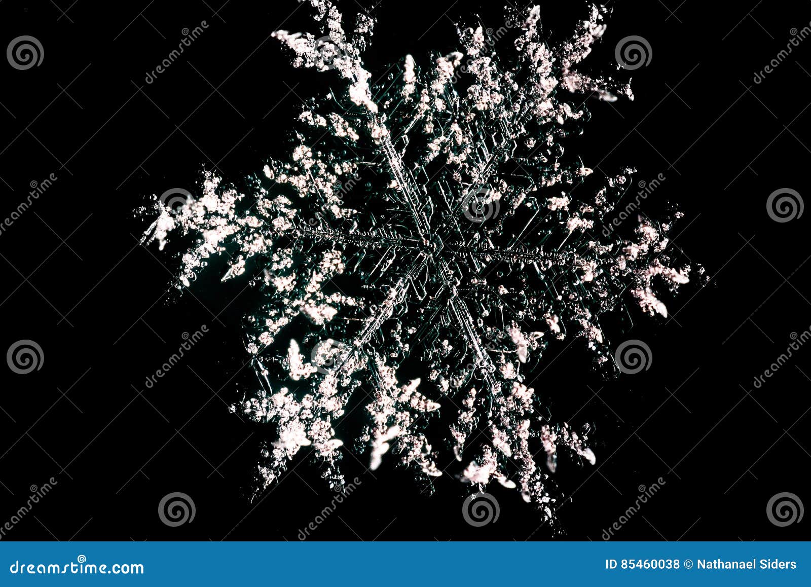 Snowflake With Black Background Stock Photo - Image of blizzard