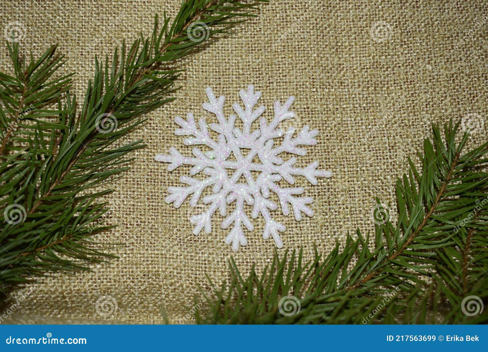 snowflake and pine, cold and warm shades, creating a festive mood