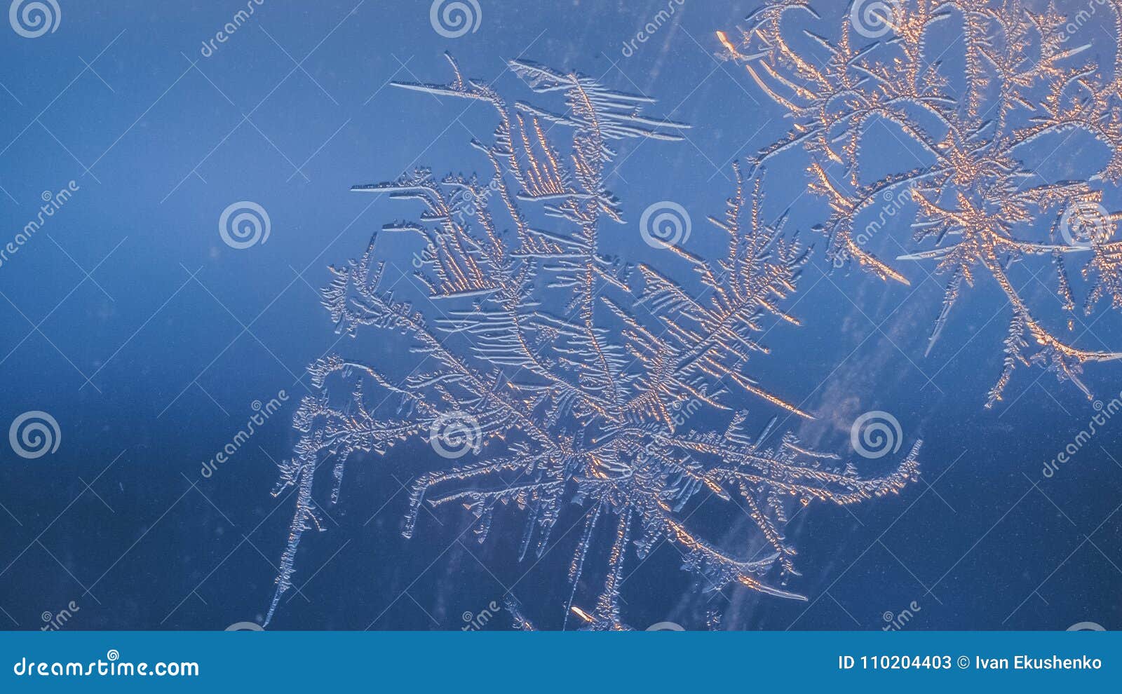 snowflakes on the window in supermacro shooting.