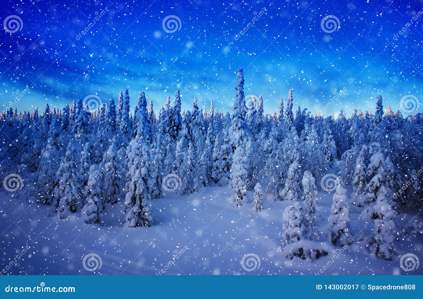 snowing in finnish woods landscape