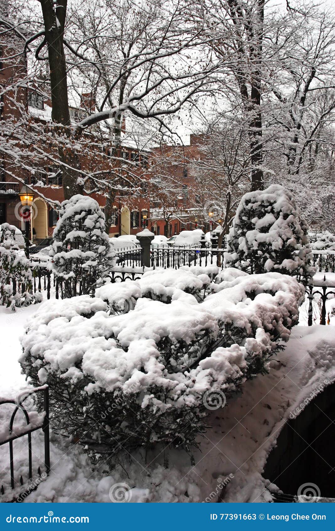 Snowing Winter at Boston, Massachusetts, USA Stock Image Image of