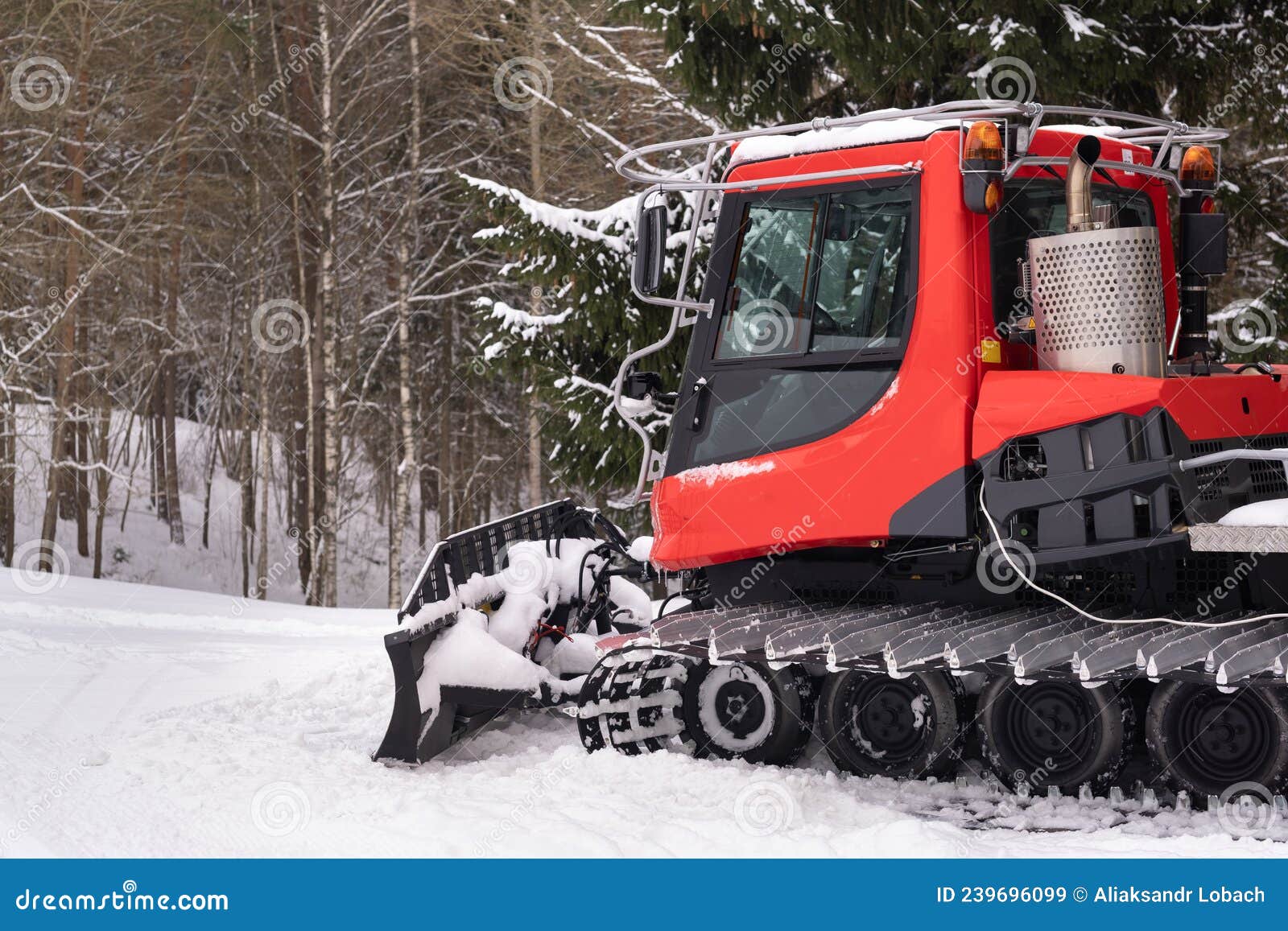 A Snowplow on Red Tracks Standing in Winter in the Forest Near the Barn