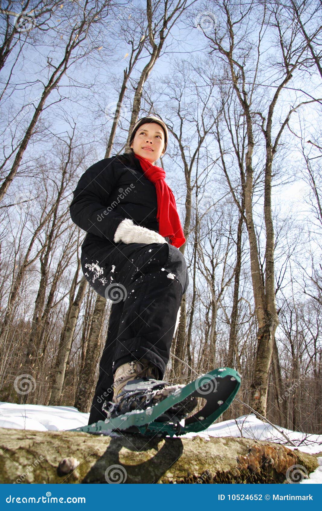 Snowshoe hiking stock photo. Image of beautiful, lifestyle 10524652