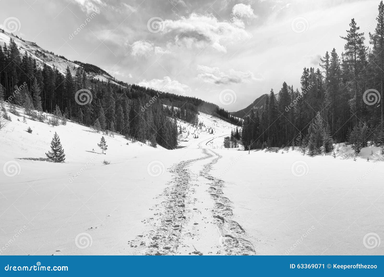 Snowshoe Tracks in the Mountains Stock Image Image of scenic