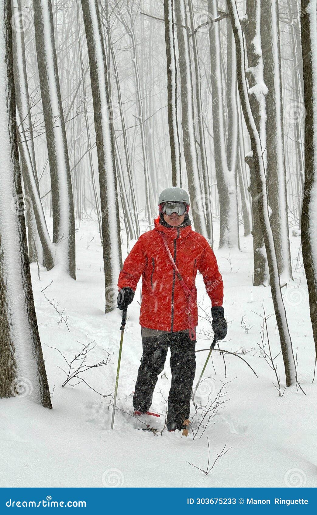 snowshoeing in a canadian forest during a heavy snow squall