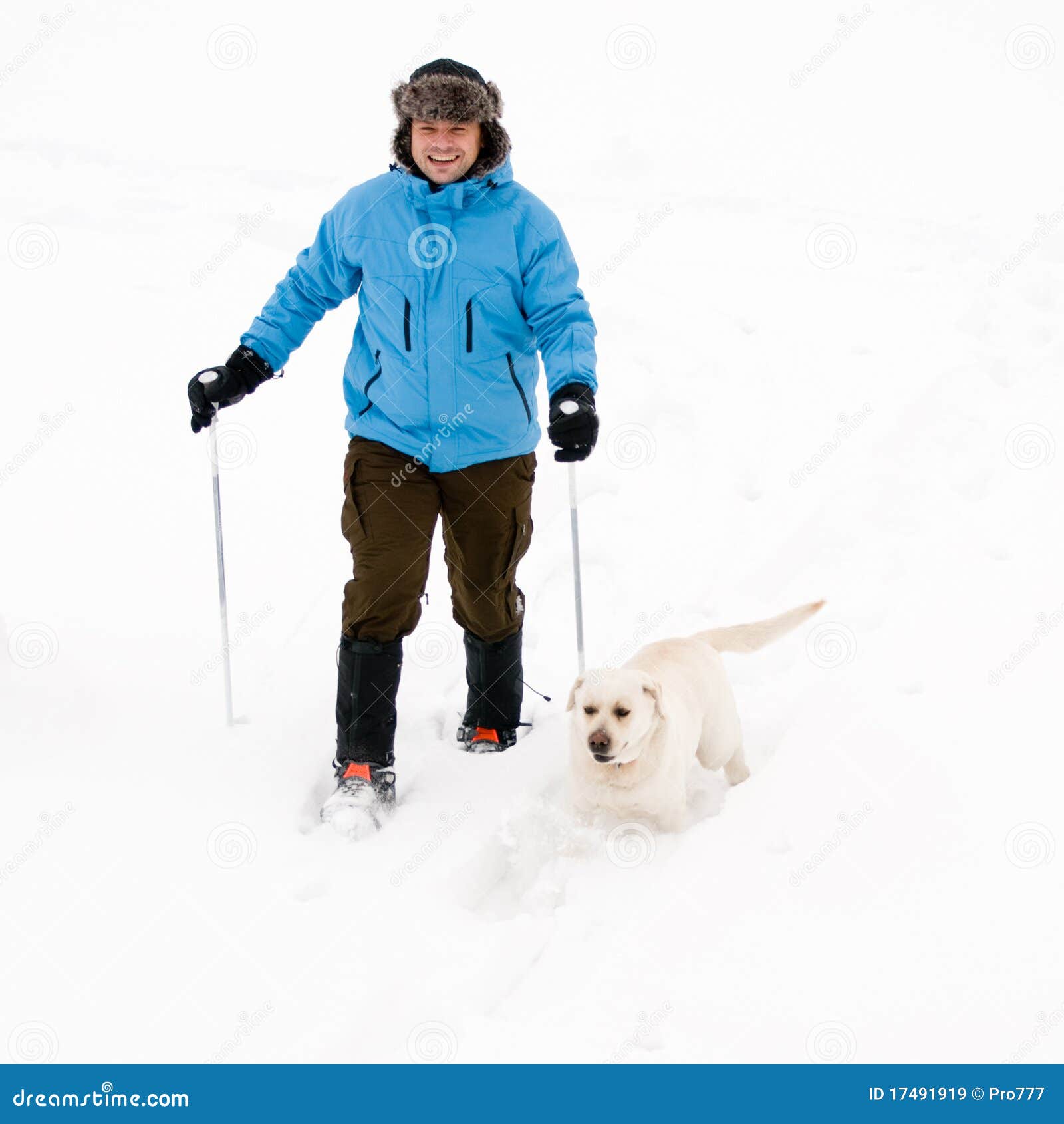 Snowshoeing with dog stock image. Image of activity, racket 17491919