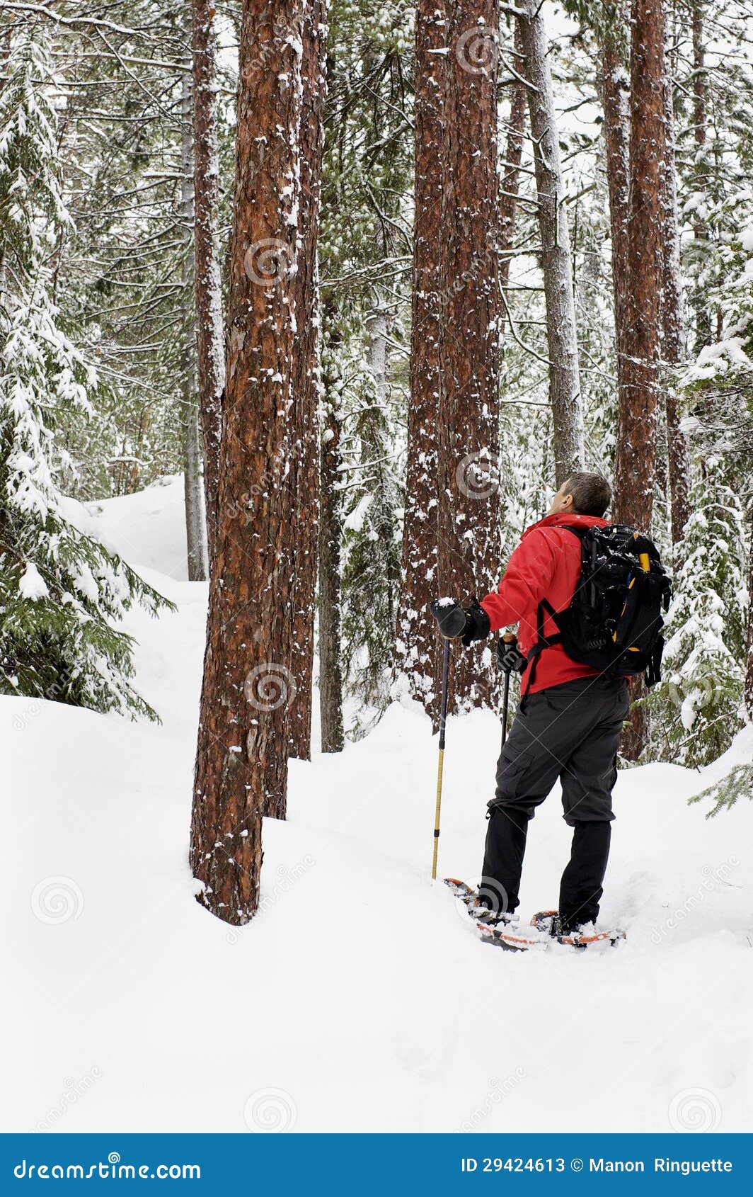 Snowshoeing Killarney, Ontario Stock Image Image of destination