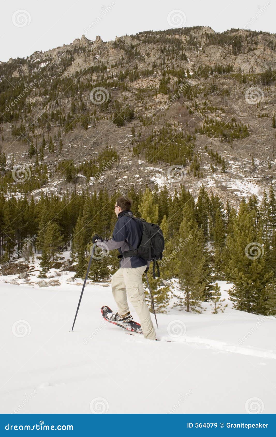 Snowshoeing Montana stock image. Image of poles, wilderness 564079