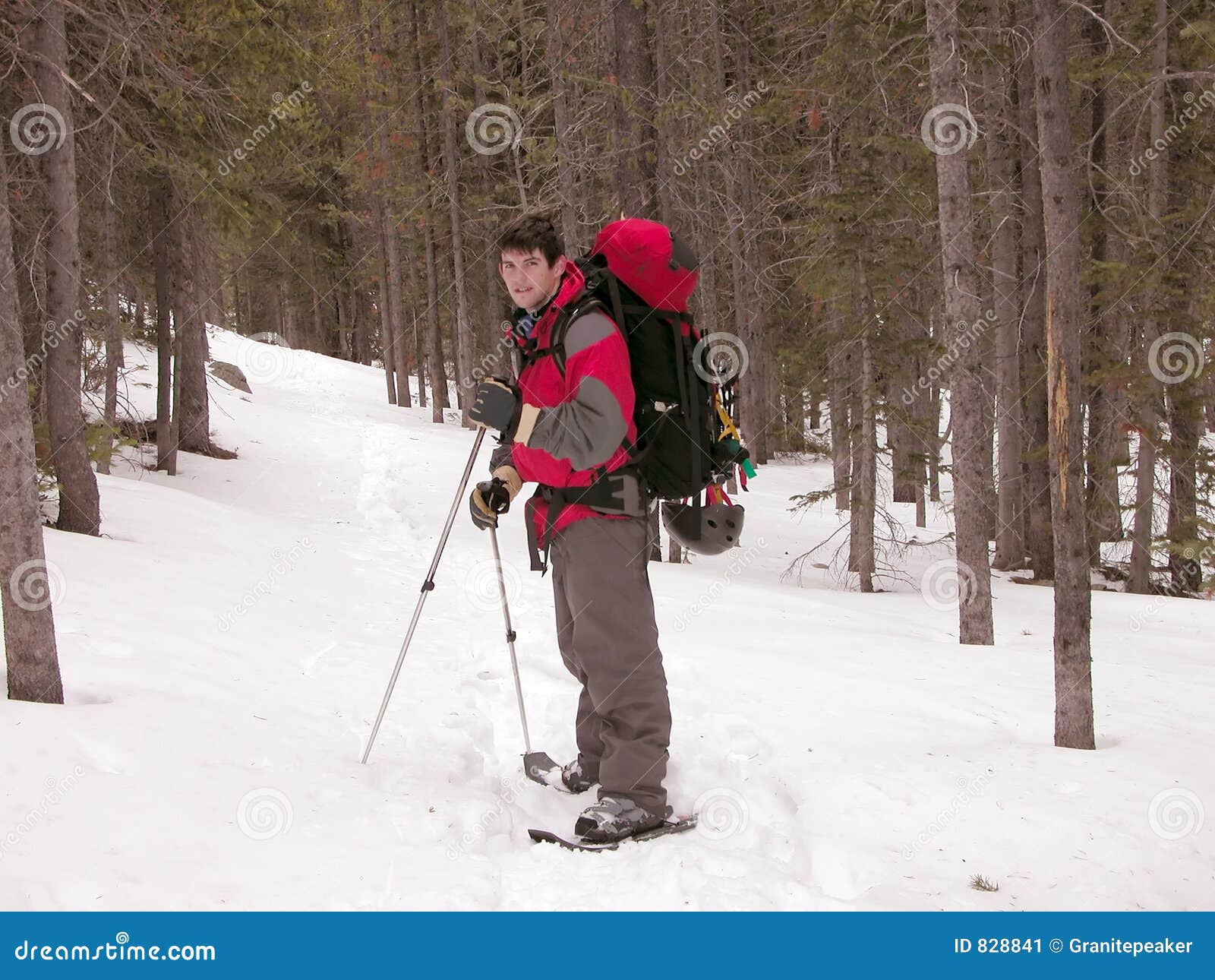 Snowshoeing Montana stock image. Image of sledding, wilderness 828841