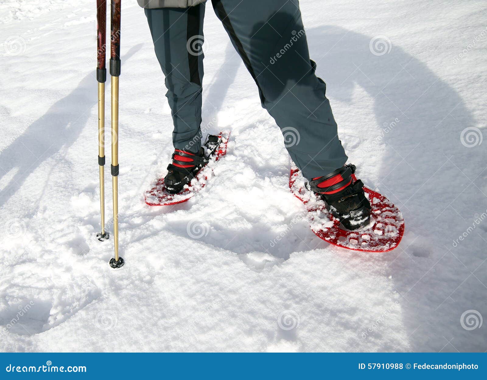 Snowshoeing in the Mountains on the White Soft Snow Stock Photo Image