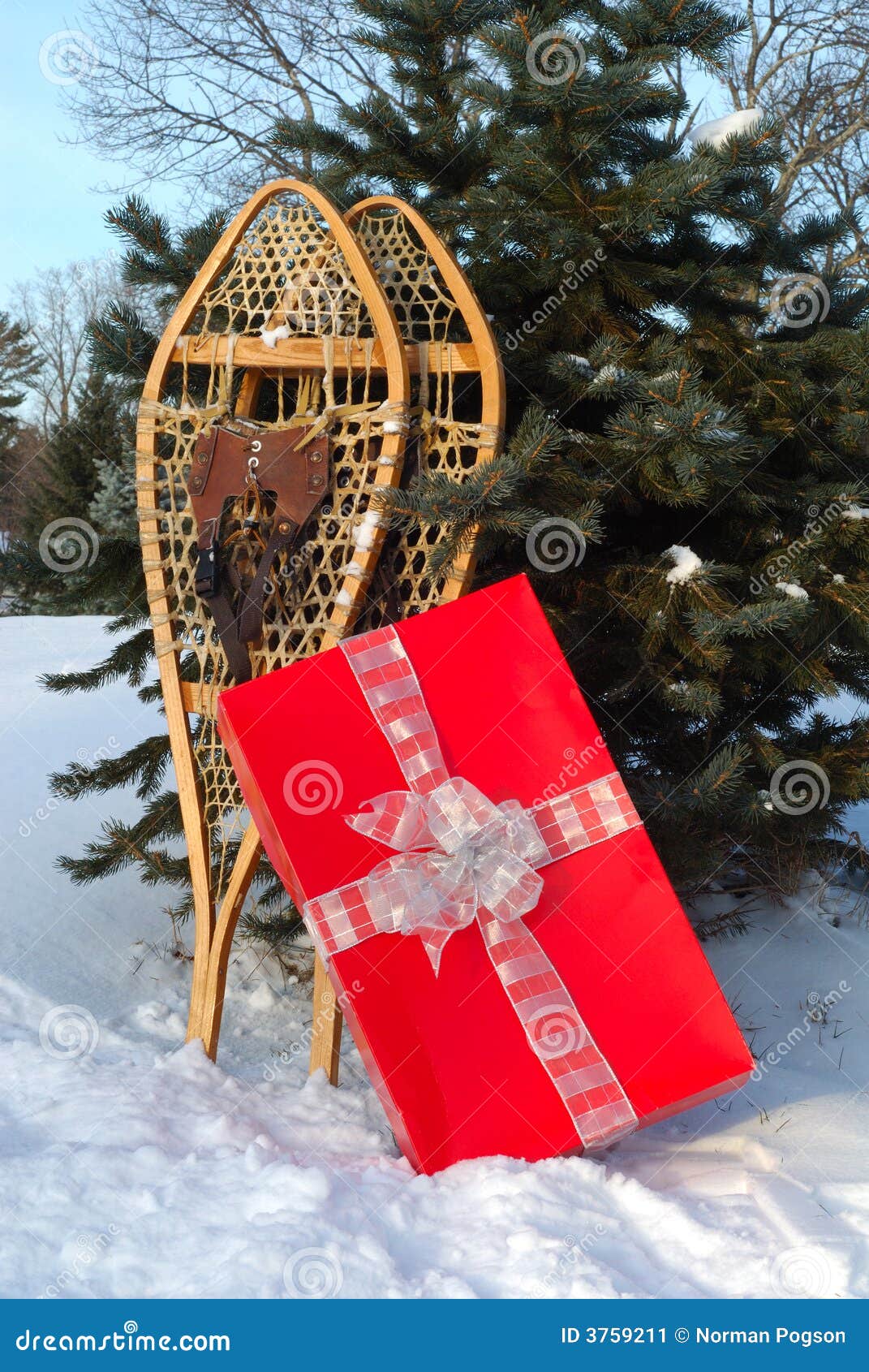 Snowshoes and Gift stock image. Image of xmas, sport, christmas 3759211