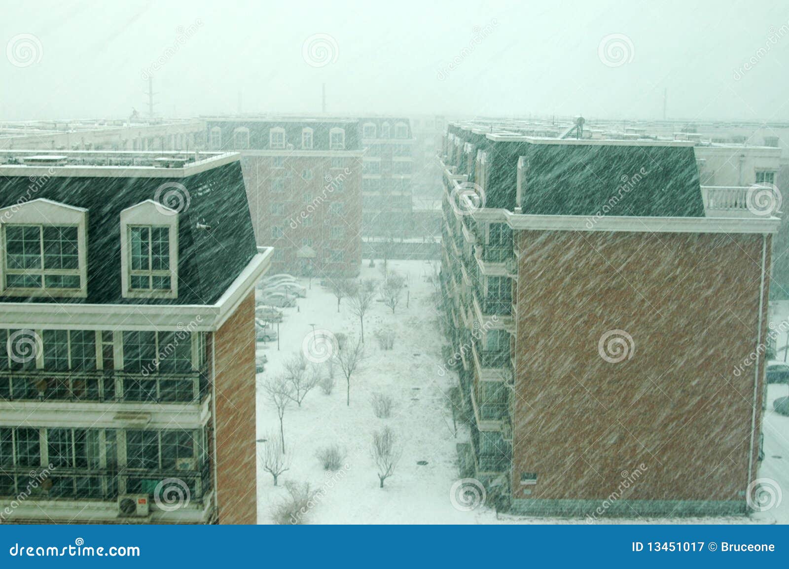a snowstorm in beijing