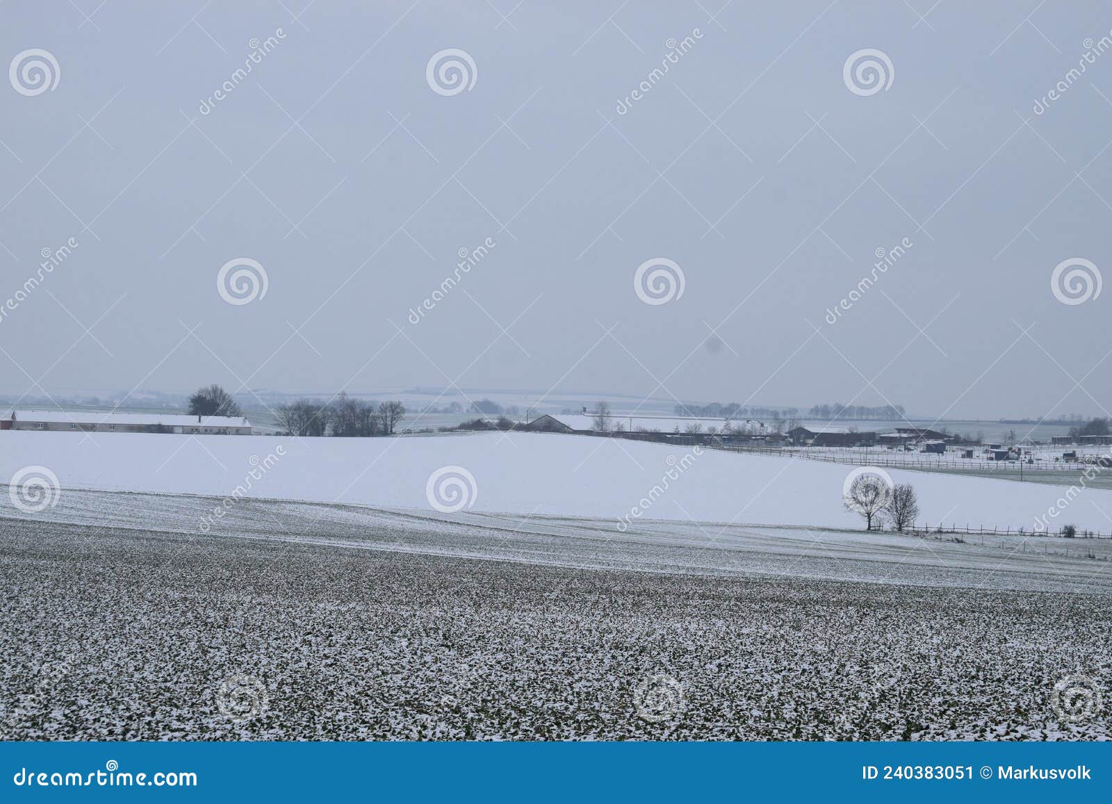 snowy landscape in the eifel between welling and thÃÂ¼r