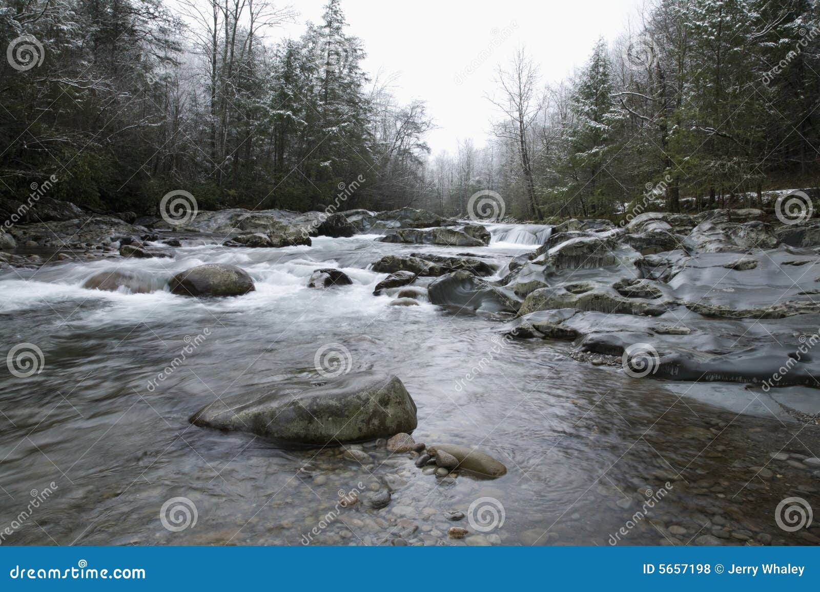 Snowy Landscape, Little Pigeon River Stock Photo Image of snow, great
